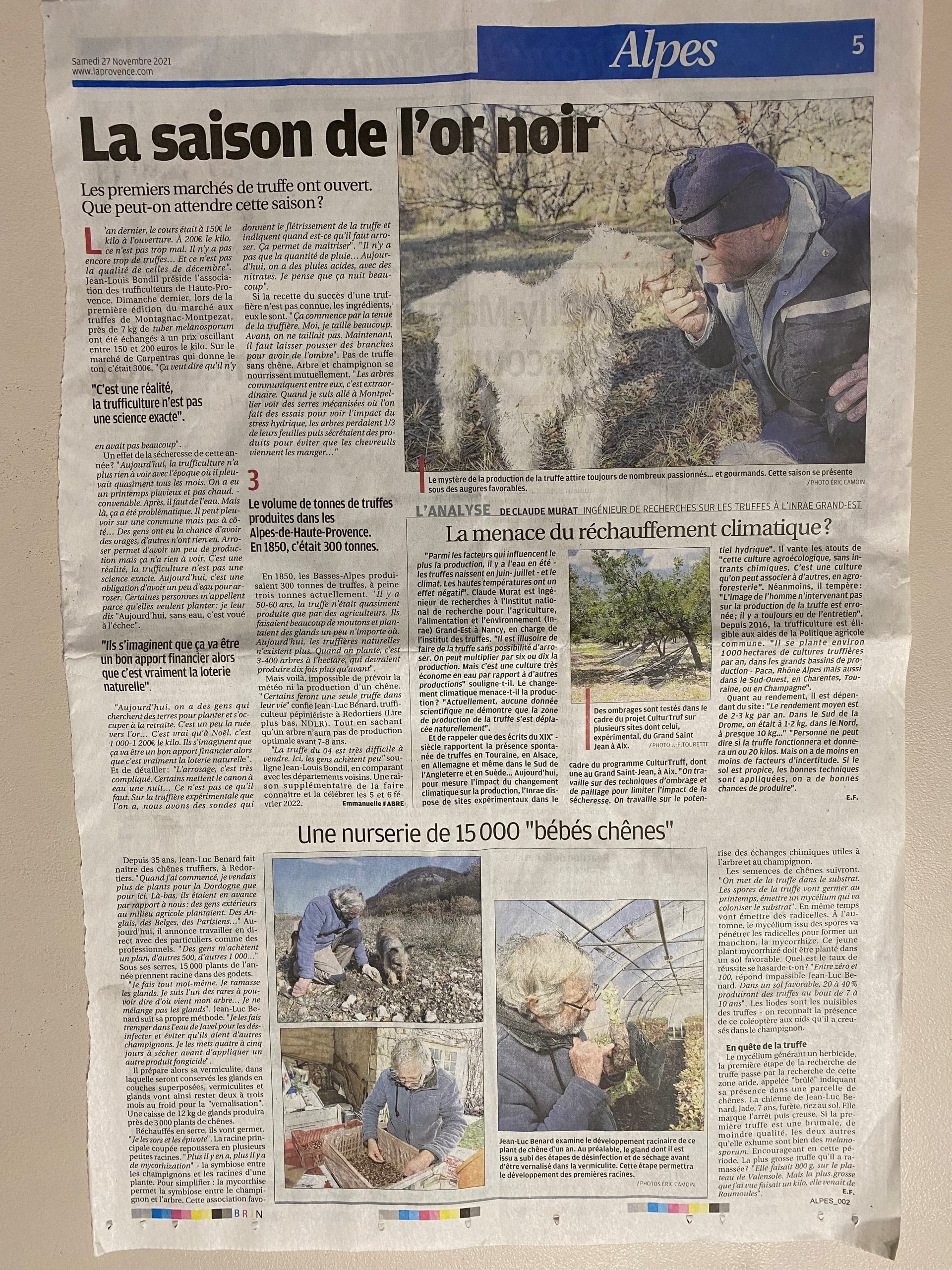 La saison de l'Or noir