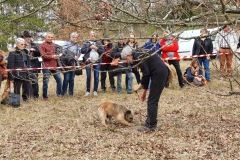 20200201_152233cavage