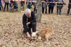 20200201_152346demonstration-cavage