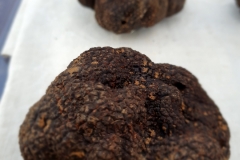 20200202_094606marche-truffes