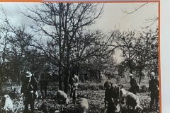 Ouverture-marche-truffe-Montagnac-20221119